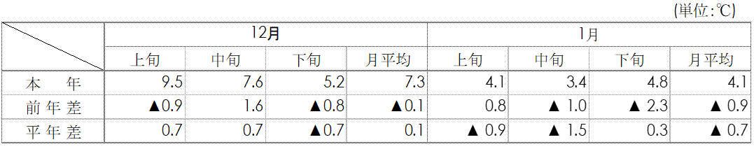 平均気温（名古屋）表画像