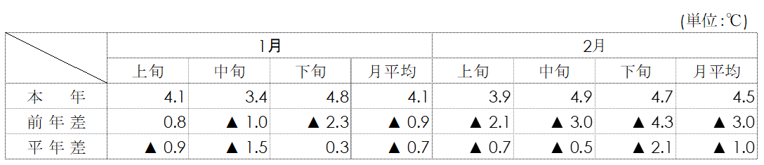 平均気温（名古屋）表画像